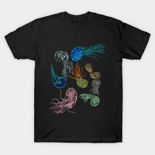 Ammonites at Night T-Shirt